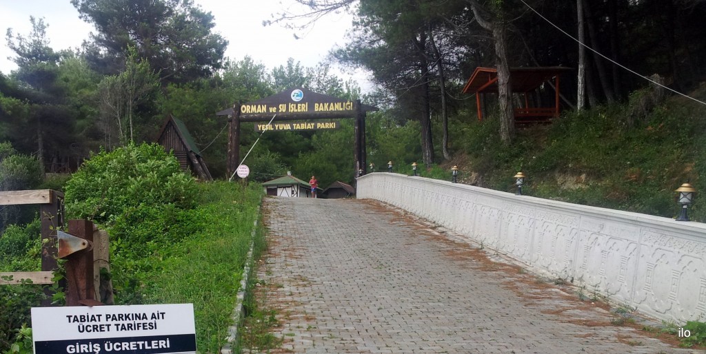 20140819_150437.jpg