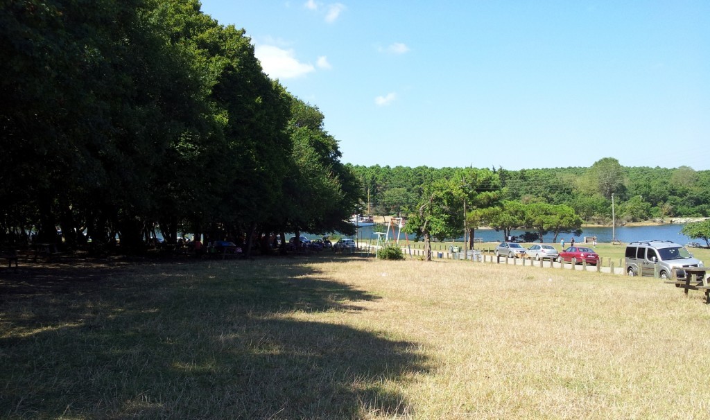 20140823_114908.jpg