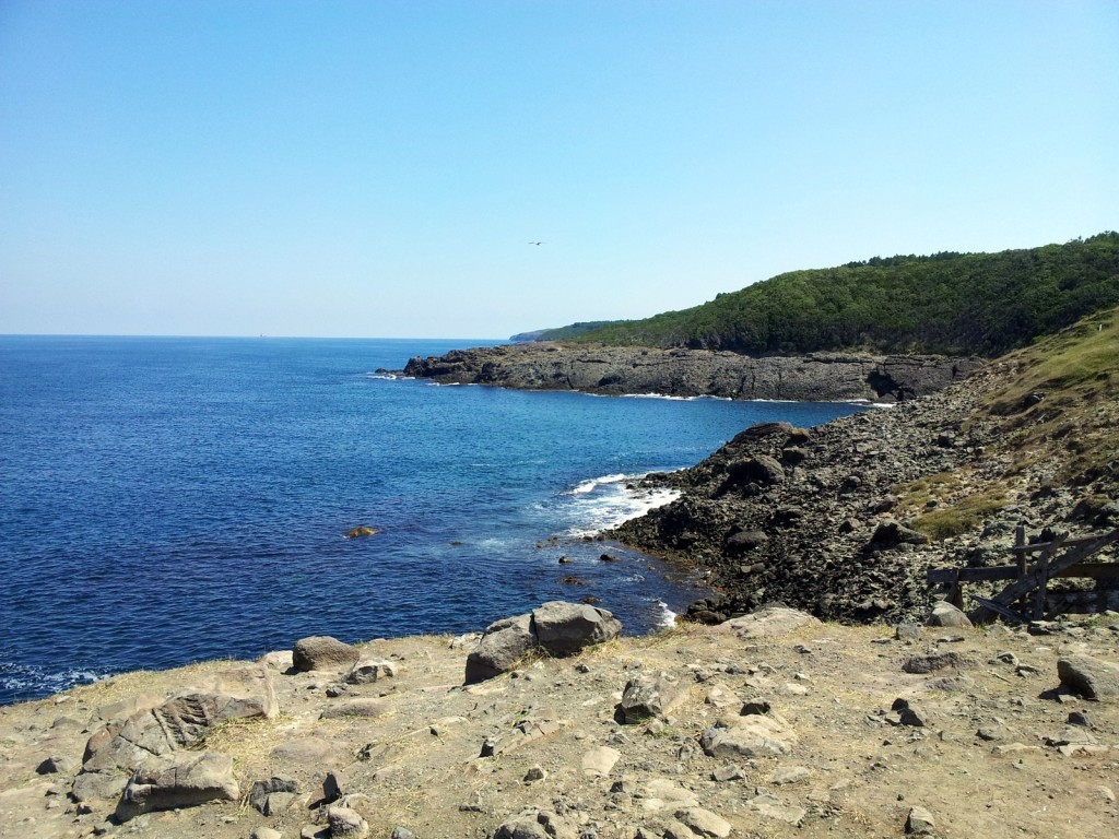20140823_123114.jpg