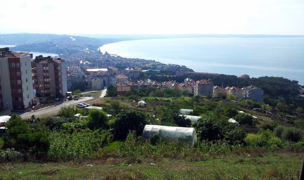 20140823_163827-003.jpg