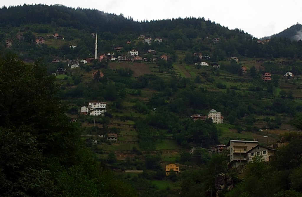 20140830_095739.jpg