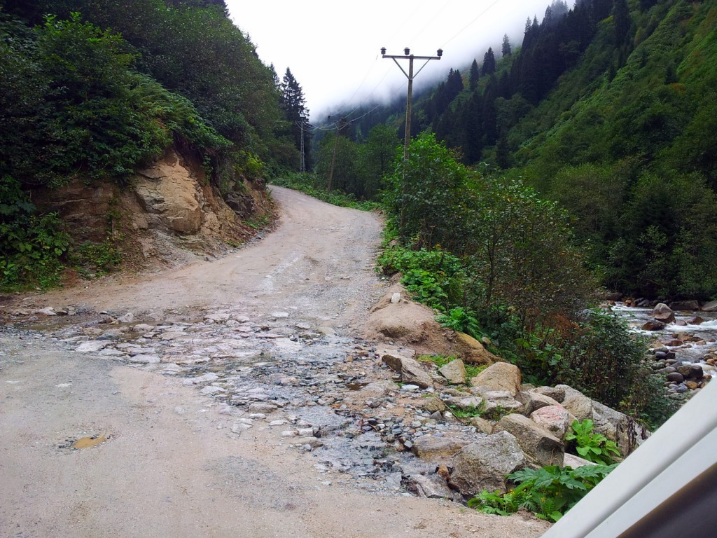 20140831_093441.jpg