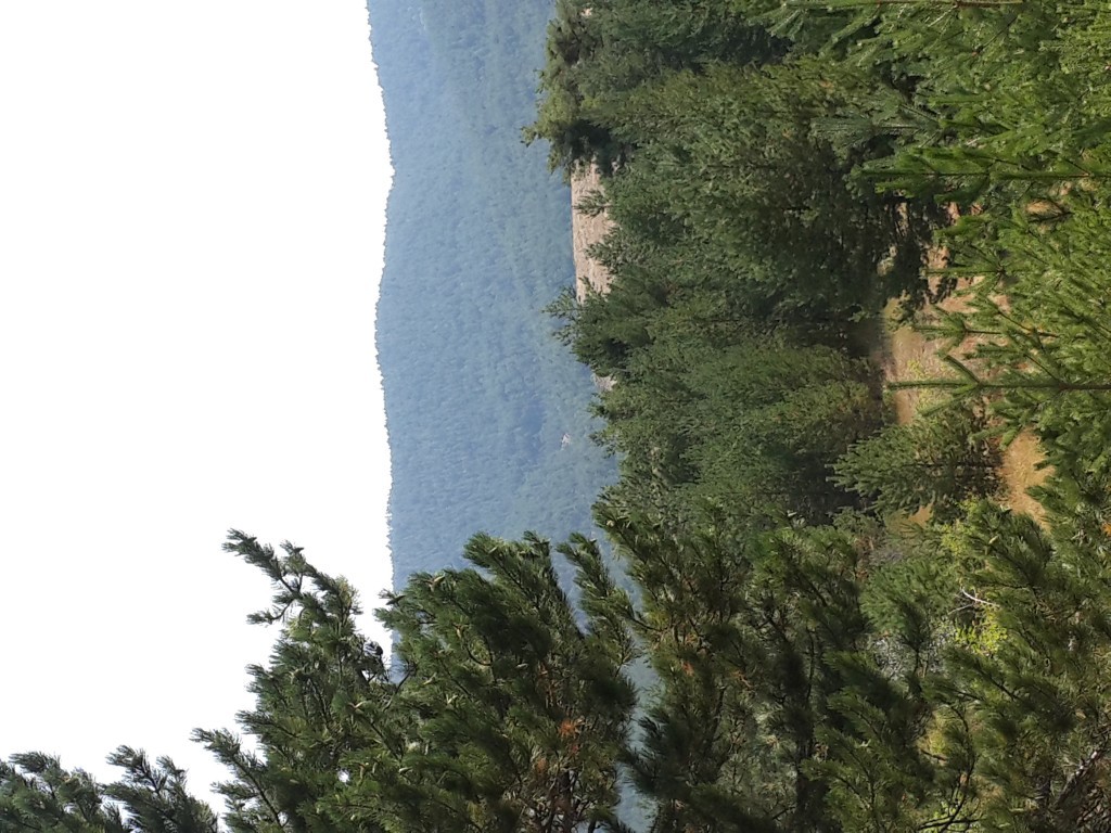 20140831_112033.jpg