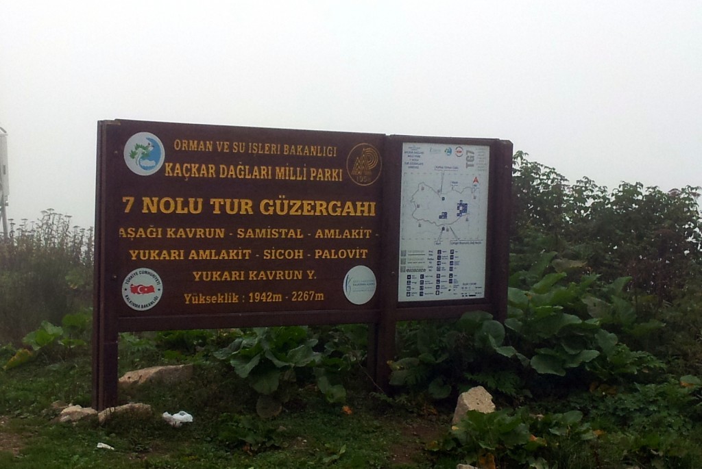 20140831_140129.jpg