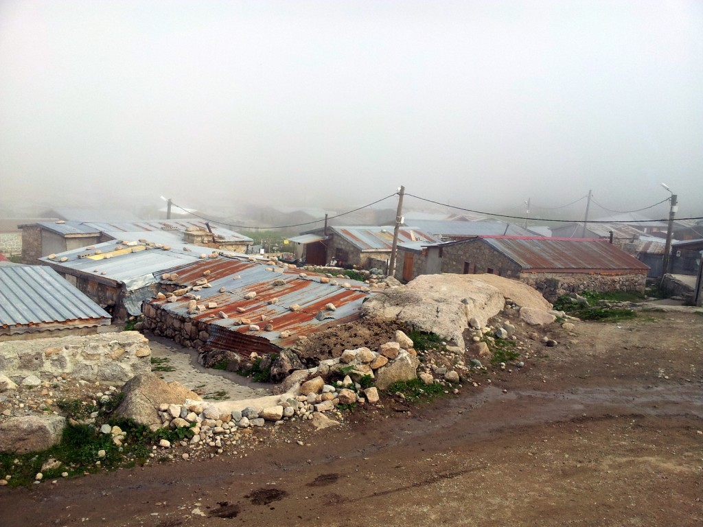 20140831_153157.jpg