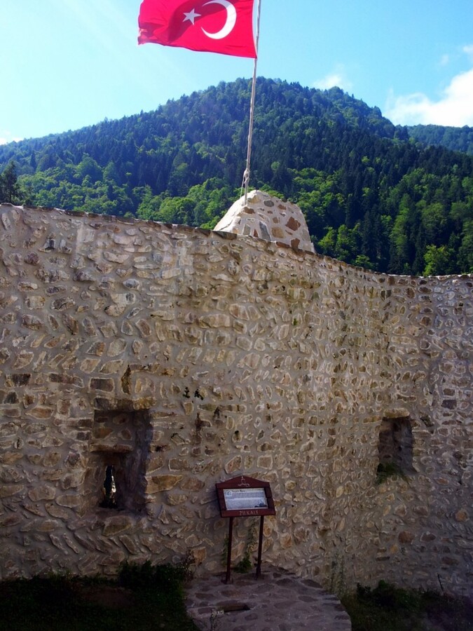 20140901_140927.jpg