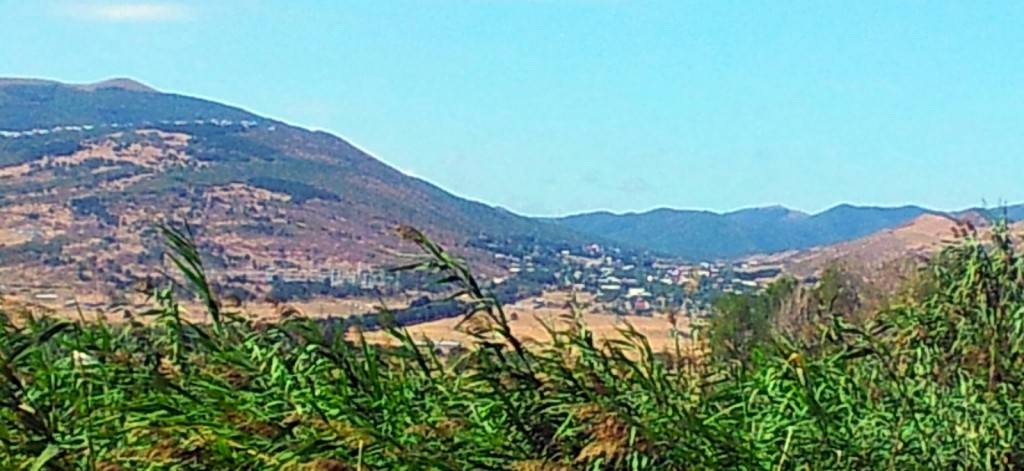 20140910_124317-1.jpg