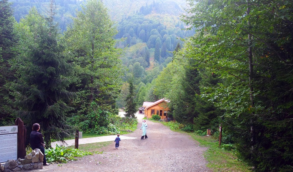 20140917_150623.jpg