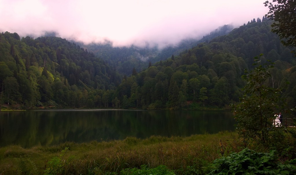 20140917_152118.jpg