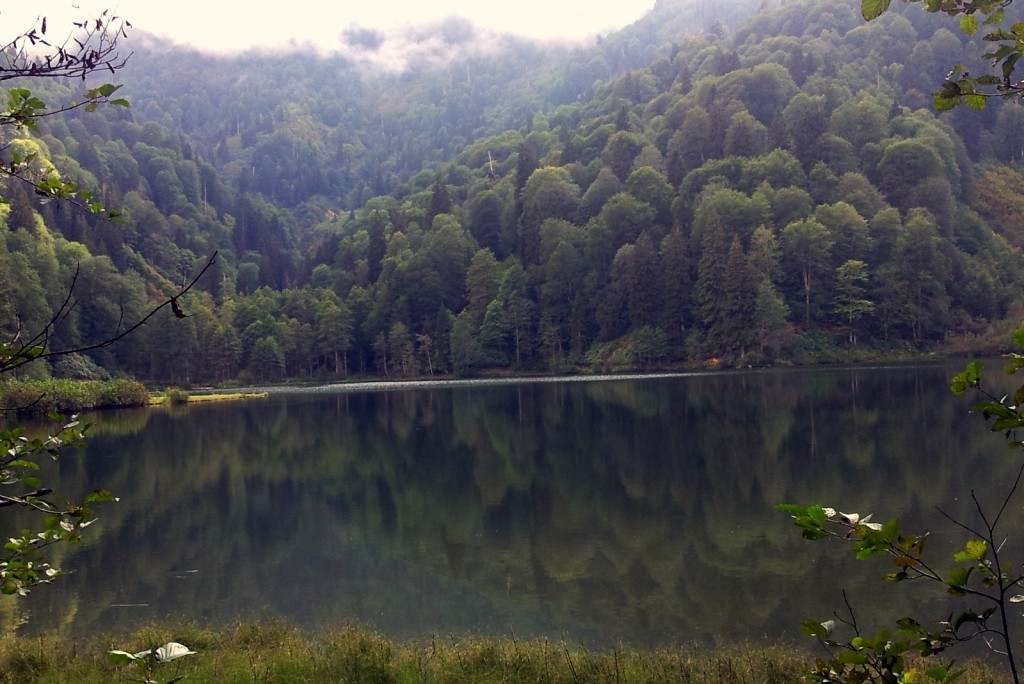 20140917_152453.jpg