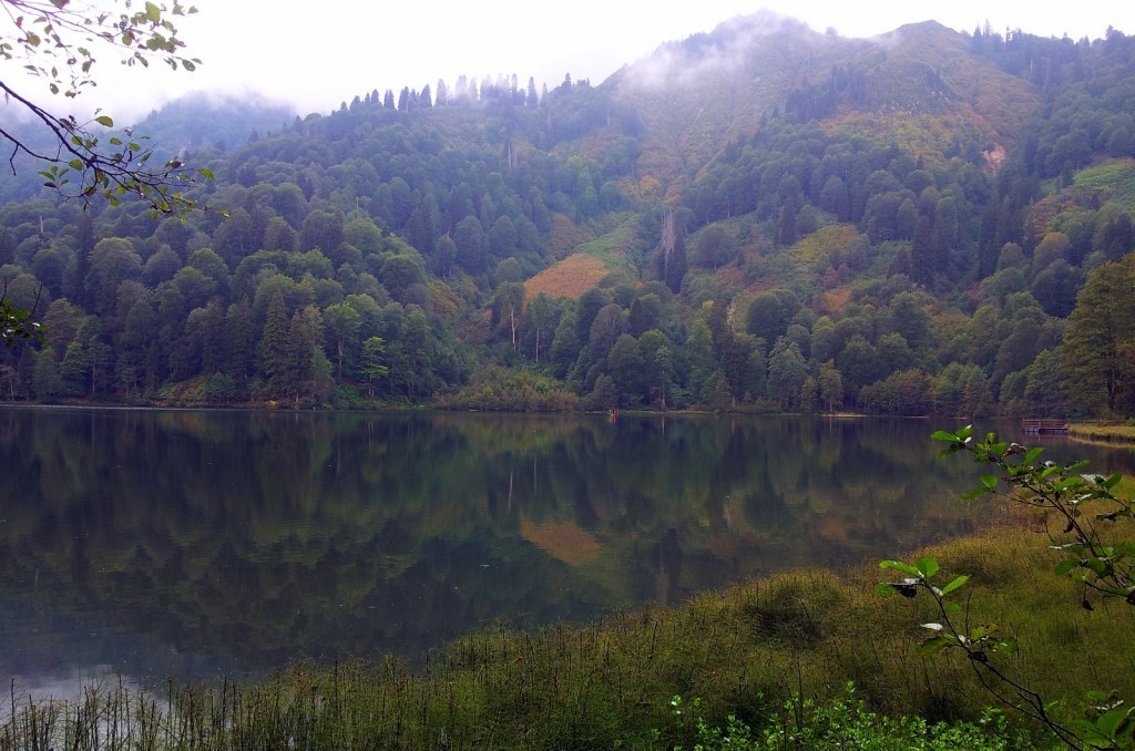 20140917_152608-001.jpg