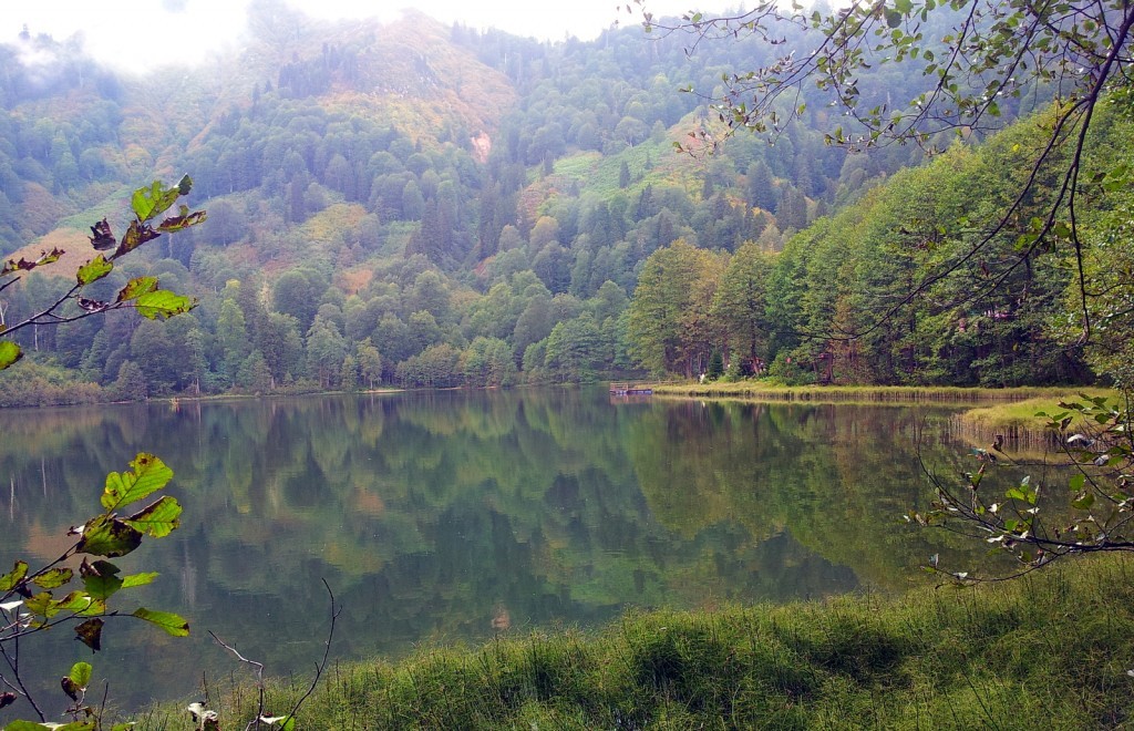 20140917_152635.jpg