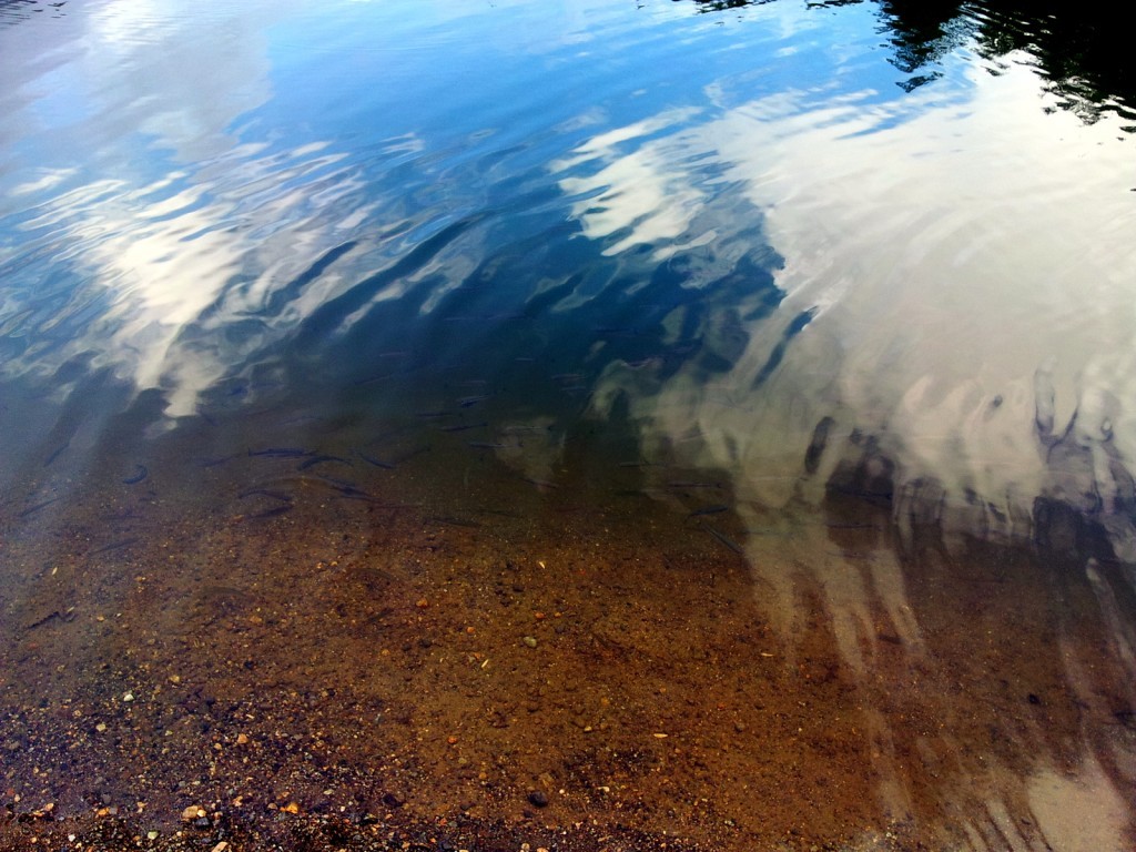 20140917_152945.jpg