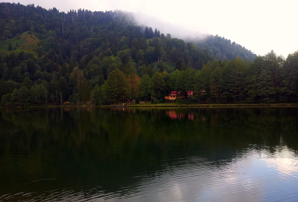 20140917_153017.jpg