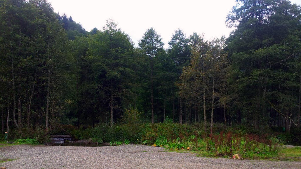 20140917_153400.jpg