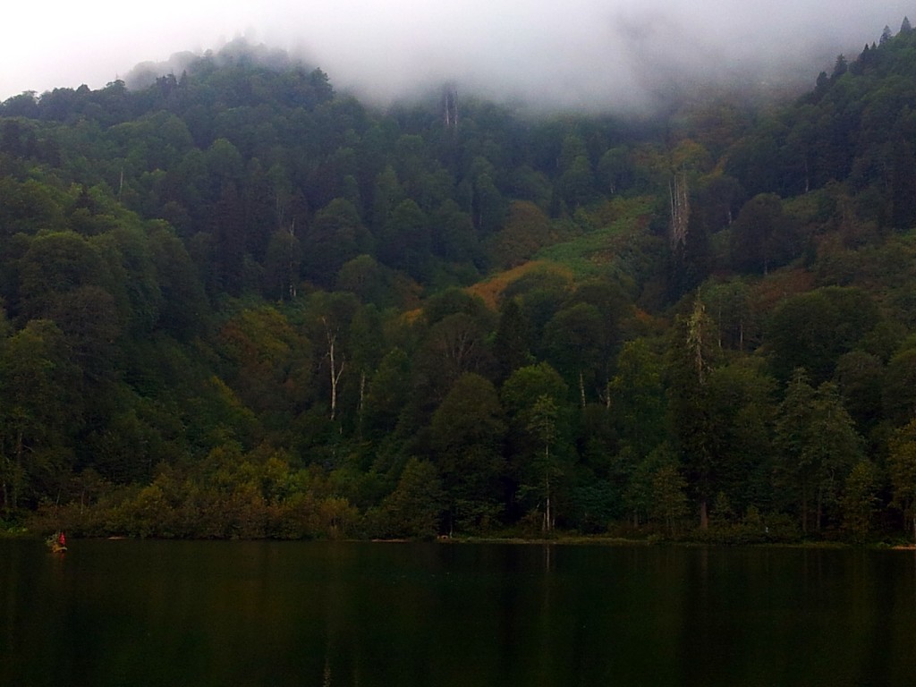 20140917_160843.jpg