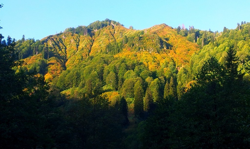 20140918_070240.jpg
