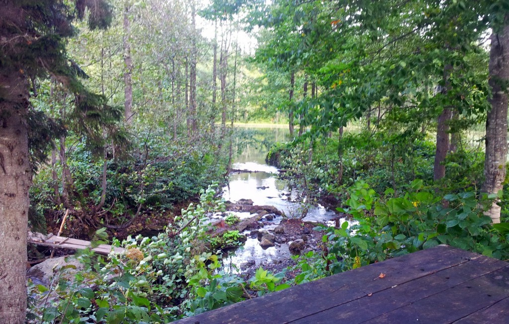 20140918_070350.jpg
