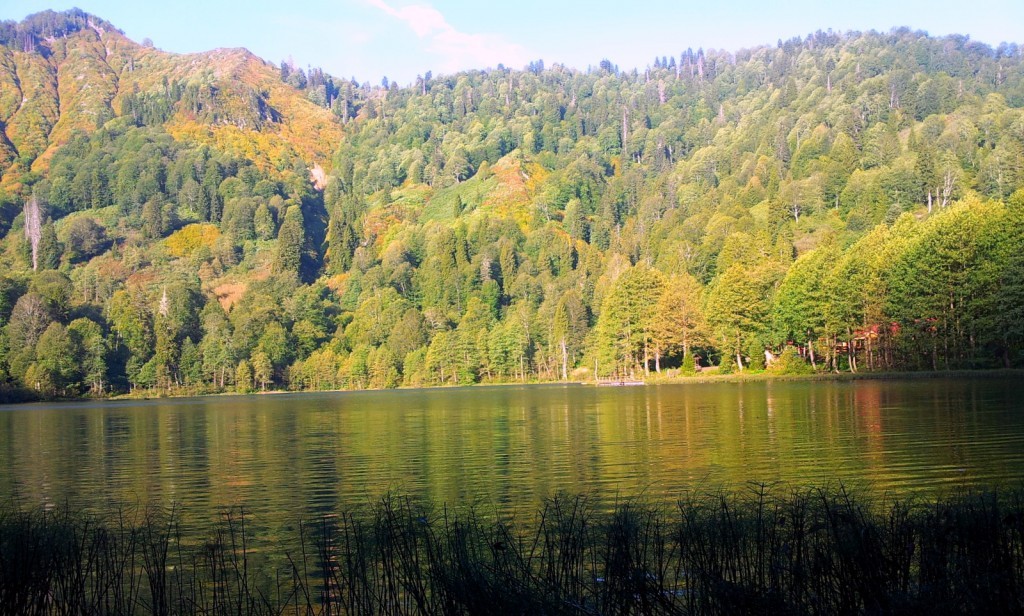 20140918_072428.jpg