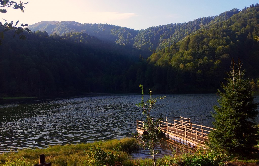 20140918_073103.jpg