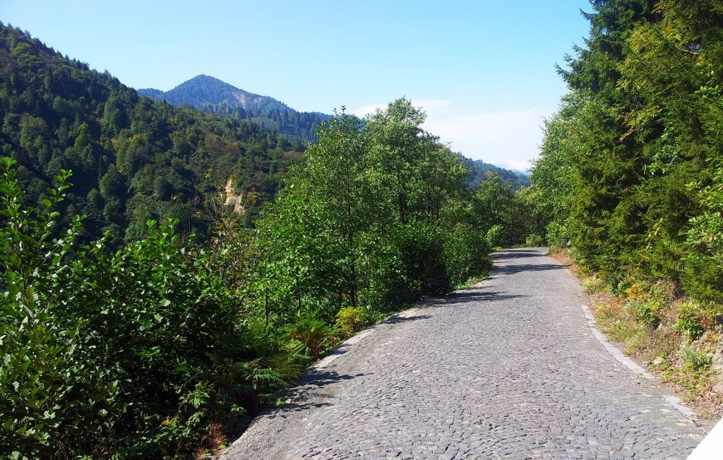 20140918_105212.jpg