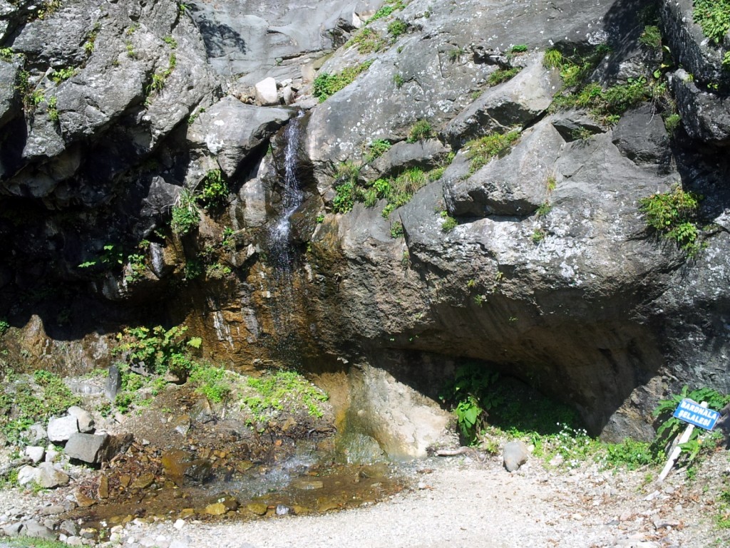 20140918_105616.jpg