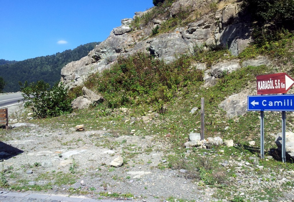 20140918_110036.jpg