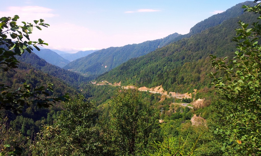 20140918_110205.jpg