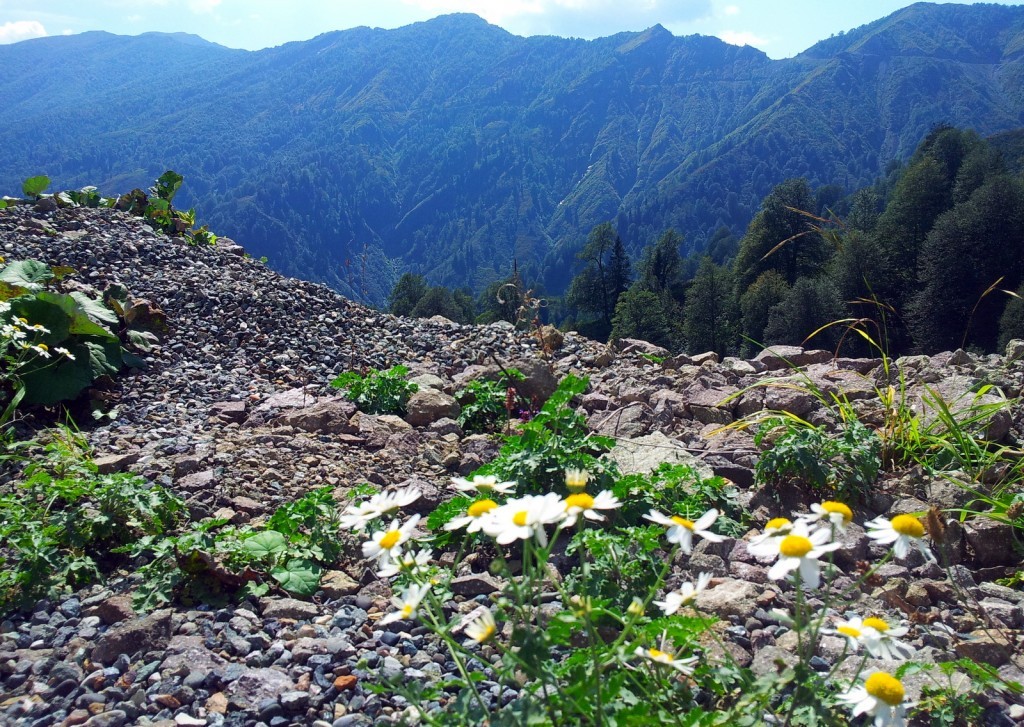 20140918_114355.jpg