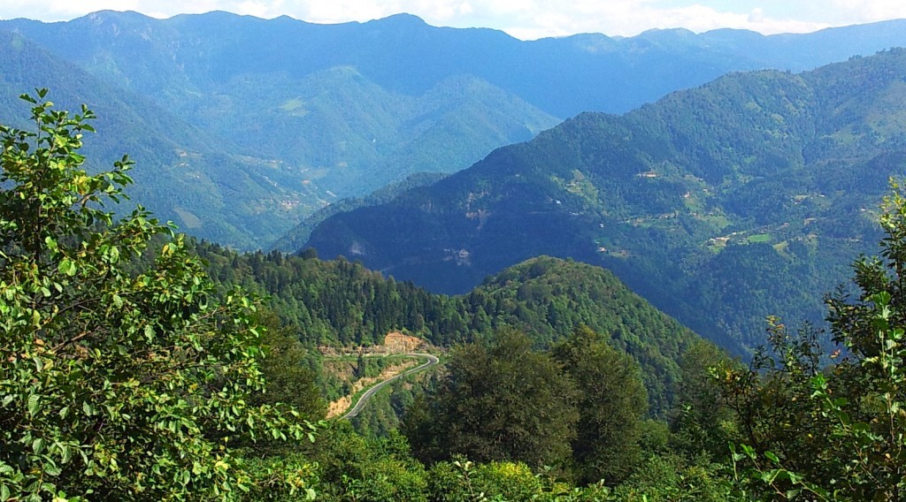 20140918_114954.jpg