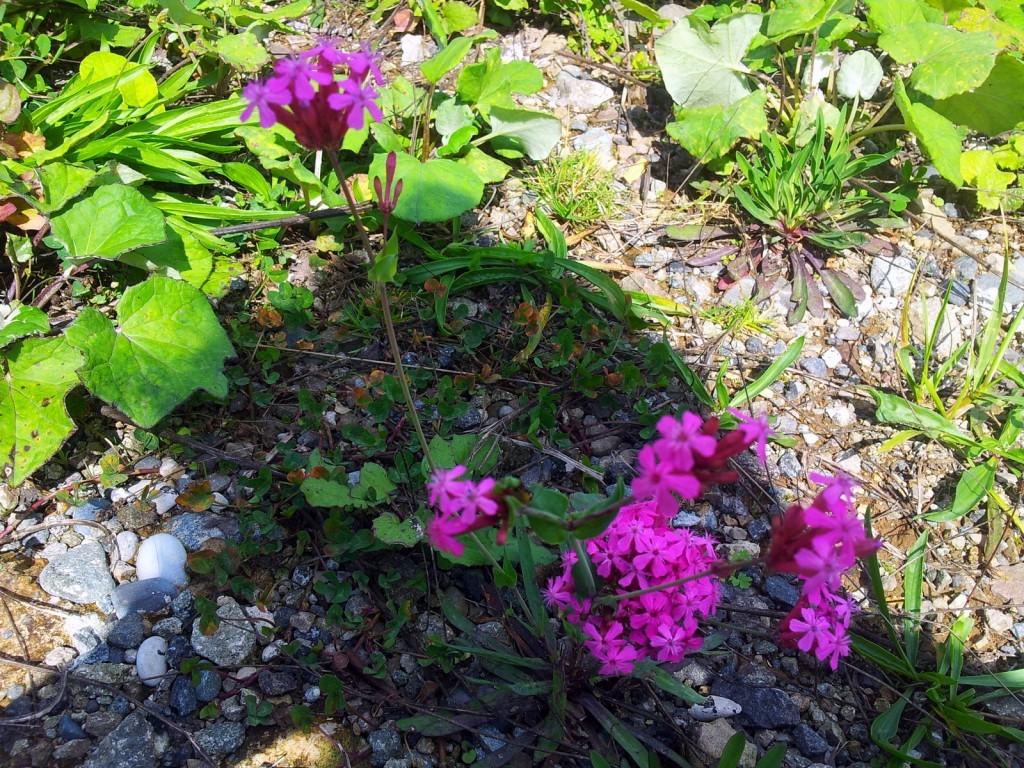 20140918_115855.jpg
