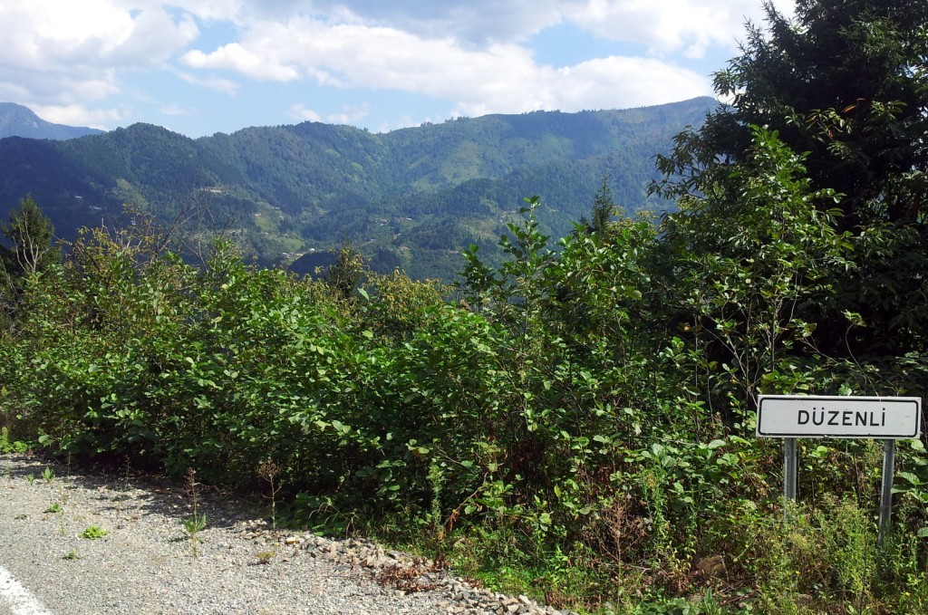 20140918_121237.jpg