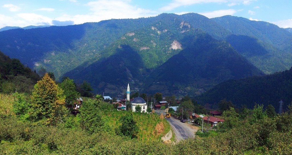 20140918_121828.jpg