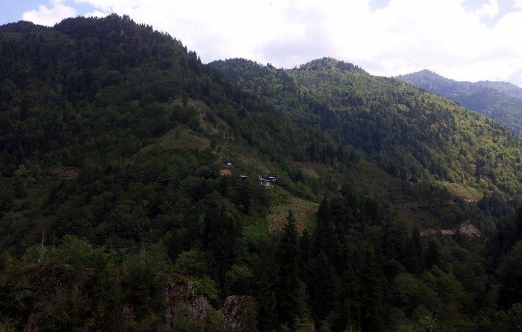 20140918_122732.jpg