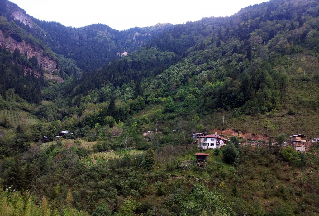 20140918_122859.jpg