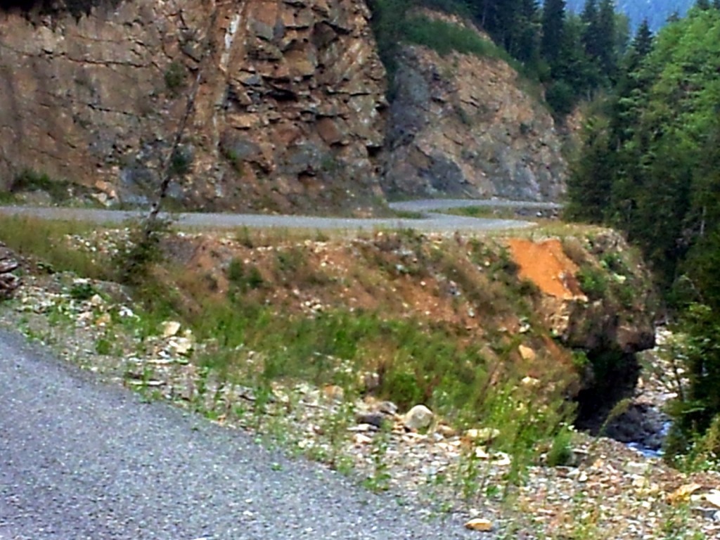 20140918_122953.jpg