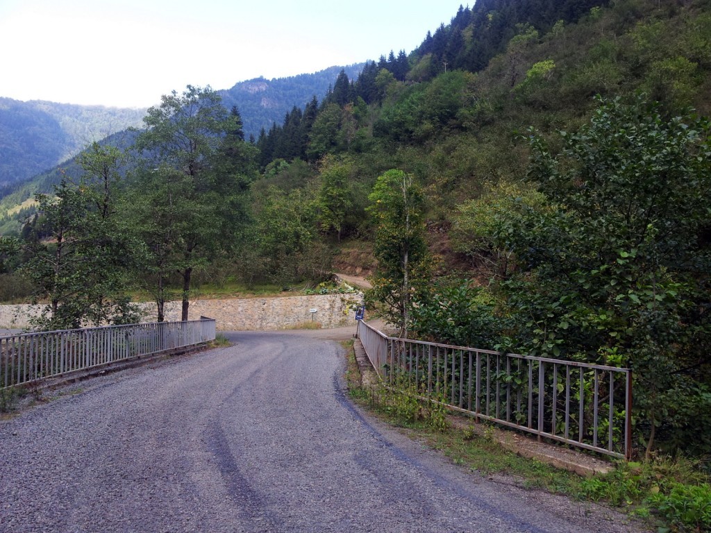 20140918_123224.jpg
