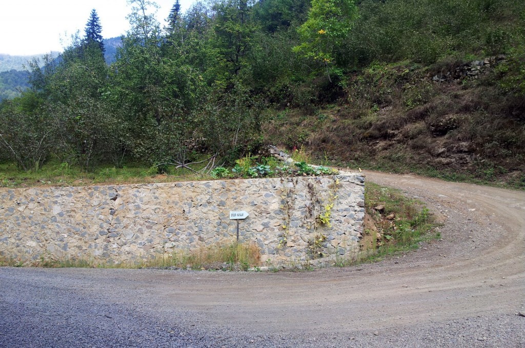 20140918_123241.jpg