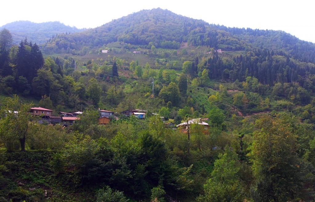 20140918_123409.jpg