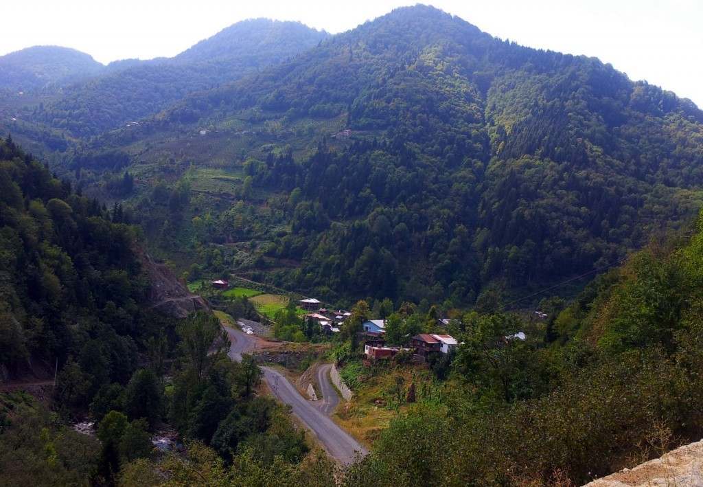 20140918_123853.jpg