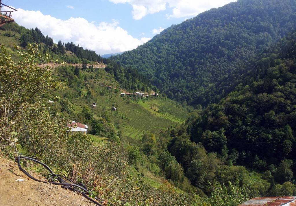 20140918_125217.jpg