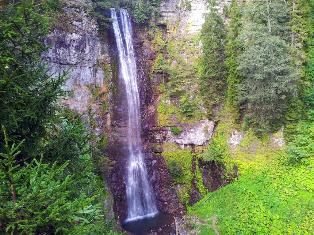 20140918_142751.jpg