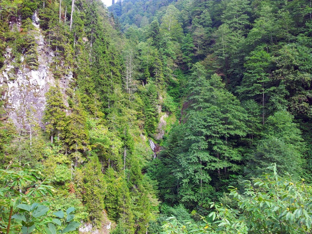 20140918_143126.jpg