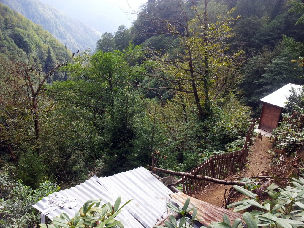 20140918_143608.jpg