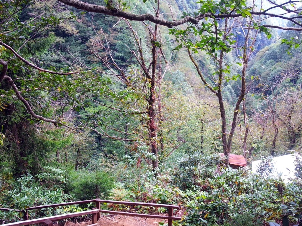 20140918_143734.jpg