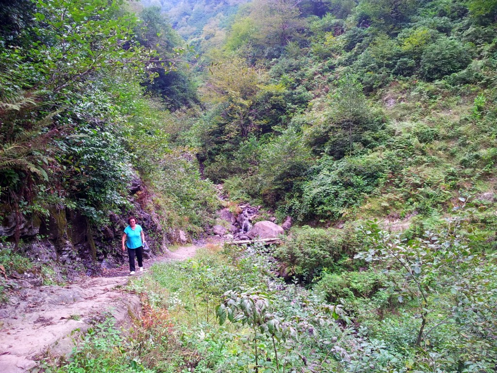 20140918_144929.jpg