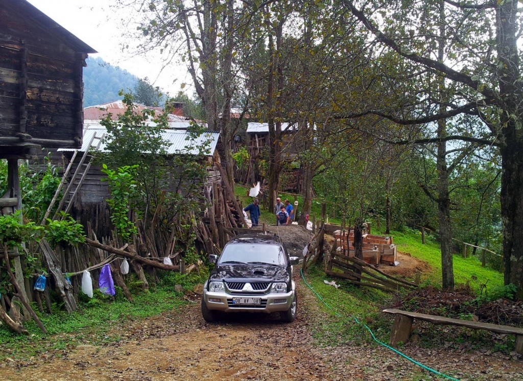 20140918_151052.jpg