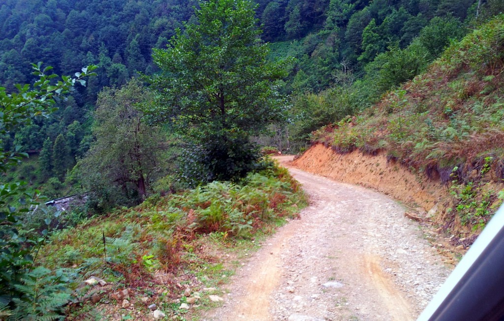 20140918_151240.jpg