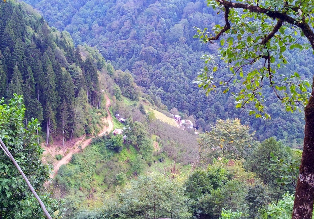 20140918_151624.jpg