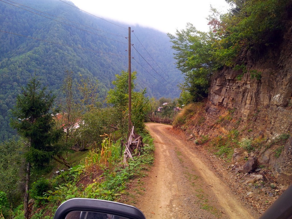 20140918_151935.jpg